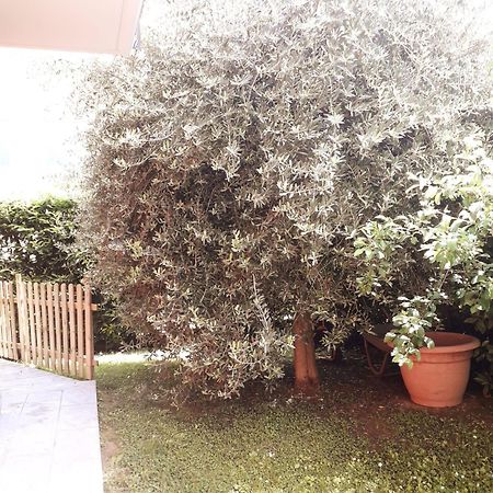 Beb Ulivo Bed & Breakfast Santa Giuletta Exterior foto